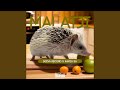 Malatji