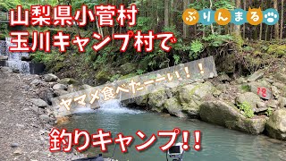 山梨県小菅村 玉川キャンプ村で釣りキャンプ！！