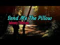 Send Me The Pillow - Johnny Tilotson lyrics