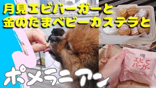 【月見エビバーガー】と【金のたまベビーカステラ】と【ポメラニアン】