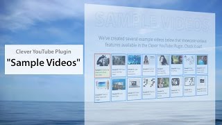 Sample Videos for The Clever YouTube Plugin