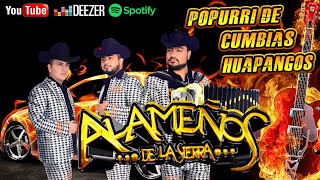 LOS ALAMEÑOS DE LA SIERRA 🔥 Puro Excelentes Bailes de Alameños 💃🏼🕺️🙋