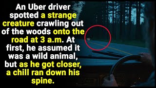 An Uber driver spotted a weird creature at night…but when he realized what it was he was stunned