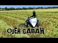 MOTOR OJEK GABAH