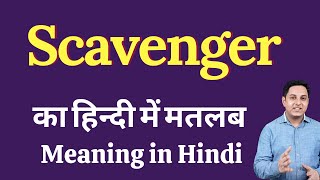 Scavenger meaning in Hindi | Scavenger का हिंदी में अर्थ | explained Scavenger in Hindi