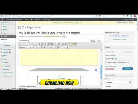 How To SEll Your Own Products Using Paypal As Your Merchant How To SEll Your Own Products Using Paypal As Your Merchant