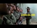 🎦SERAN ENVIADOS PARA PROTEGERLOS PERO TERMINARAN DESAPARECIENDOLOS | LA BOCA DEL LOBO | RESUMEN🎦