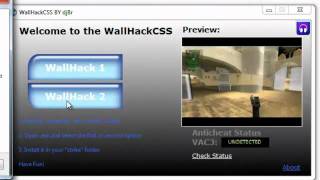 CSS Hack Undetected