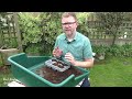 planting crocosmia corms planting crocosmia lucifer bulbs how to plant crocosmias montbretia