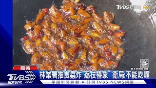 油炸「荔枝樁象」!林業署推食蟲活動 衛生局現場查:未提供食用 ｜TVBS新聞 @TVBSNEWS01