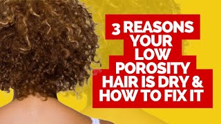 3 reasons your low porosity hair is so dry and how to fix it| Low Porosity Hair Care Guide