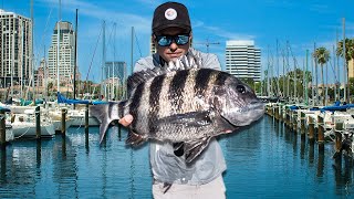 Dock Fishing For BIG Sheepshead With A Simple Secret Rig!