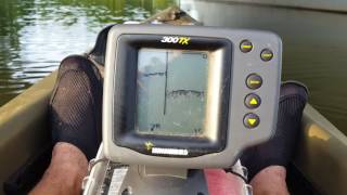 Hummingbird 300tx kayak fish finder sun dolphin journey 12ss