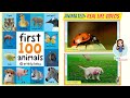 FIRST 100 ANIMALS | First 100 Words for Baby Book by Priddy | Animal Names for Toddlers and Kids