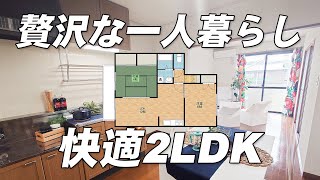 【優良物件】贅沢な一人暮らし！この間取りで驚きの家賃！コスパ高12帖のLDKのお部屋【物件紹介】#賃貸 #賃貸暮らし #賃貸物件 #はちのこ不動産