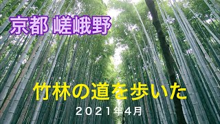 【京都・嵯峨野】竹林の道を歩いた