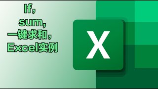 Excel 中，if函数，Sum函数，一键求和