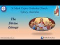 Divine Liturgy Sunday 14/07/2024