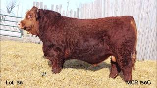 Cattle Country Lot 36 - McRuer MCR 156G