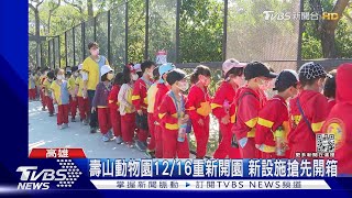 壽山動物園搶先曝光!最大規模重建 12/16試營運 ｜TVBS新聞