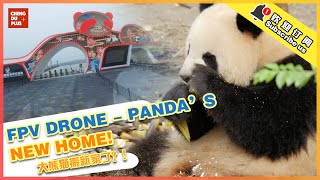 FPV Drones - Traveling through Giant Pandas' New Home in SW China! |Chengdu Plus