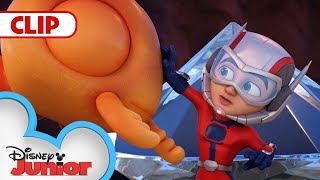 The Ant Thief 🐜 with Ant-Man & The Wasp | Marvel's Spidey and his Amazing Friends | @disneyjunior​