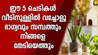 ഈ 5 ചെടികൾ വീടിനുള്ളിൽ വച്ചോളൂഭാഗ്യവും സമ്പത്തും നിങ്ങളെ തേടിയെത്തും | MONEY PLANT