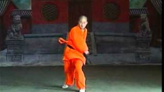 24. 少林武术 - 南拳 Shao Lin Martial Art 24