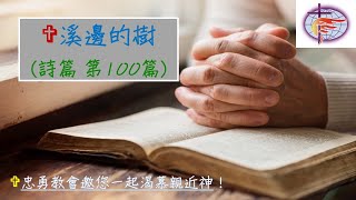 溪邊的樹～詩篇第100篇