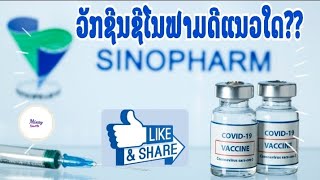 ວັກຊິນຊິໂນຟາມ Sinopharm vaccine