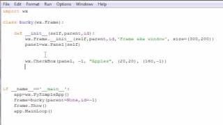wxPython Programming Tutorial - 12 - Check Boxes