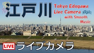 2025.1.18_江戸川ライブカメラ（東京方面）BGMあり／Tokyo View from Edogawa, Live Camera Stream with Music