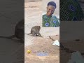 how can a monkey be this smart 🤣 shorts