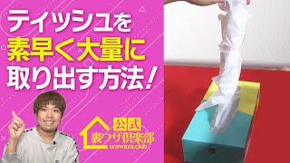 【花粉症の方必見】ティッシュを素早く大量に取り出す裏ワザ！　ライフハックチャンネル「公式・伊東家！裏ワザ倶楽部」