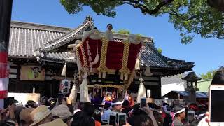 令和元年 百舌鳥八幡 月見祭 宮出 赤畑町 パート5