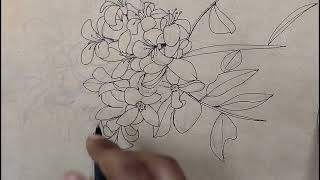 How to drawing murraya 🌿 (কামিনী ফুল)🌿