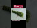 kili ahara 7 කිලි ආහාර 7ක්👉🤔👈 shorts secrets share subscribe @food so about food