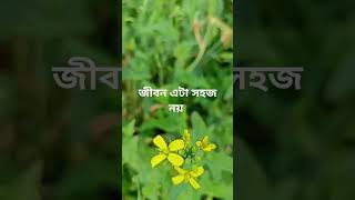 জীবন এটা সহজ নয়