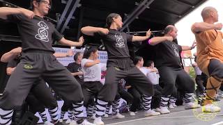 Shaolin Ba Duan Qigong Demonstration at Chinatown Festival 2019 Sunday