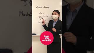 【Learn Japanese in 30s #133】 ～fortune food～“mushrooms/きのこ“  #learnjapanese  #shorts #東洋言語学院