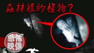 【恐怖映像】傳說中的不明怪物?! 5個在樹林中拍攝到的未知物體｜下水道先生