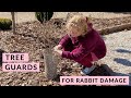 Protect Trees and Shrubs from Rabbit Damage with Tree Protectors