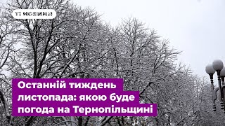 Останній тиждень листопада: якою буде погода на Тернопільщині