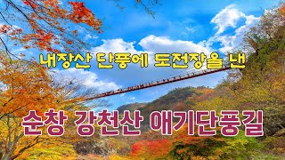 내장산 단풍에 도전장을 낸 순창 강천산 애기단풍로 탐방(순창고추장 마을)