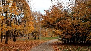 Осень. Минск, Фрунзенский район. / Fall colors. Relaxing video.