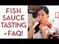 Ultimate Guide to FISH SAUCE - Hot Thai Kitchen