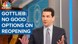 The epidemic's slowing, but it's not contracting: Former FDA Commissioner Dr. Scott Gottlieb