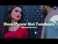 Hum Pyaar Hain Tumhare | Alka Yagnik | Udit Narayan | Haan Maine Bhi Pyaar Kiya Hai | Lofi |