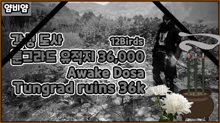 BDO) 각성도사 툰그라드 유적지 36,000(12푸타) / Awake Dosa Tungrad ruins 36k (12bird)