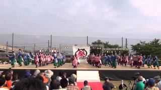 「皇學館大学　雅」犬山踊芸祭2013　ファイナル